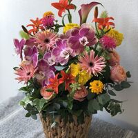 画像10320：商品紹介