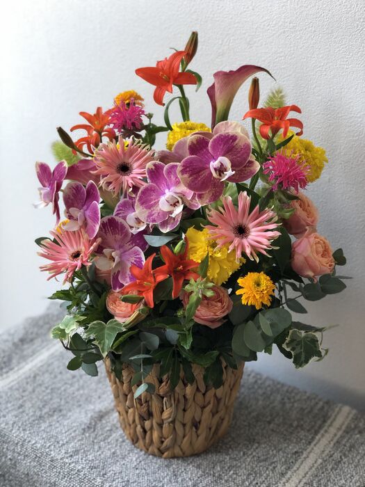 画像10320：商品紹介