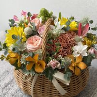 画像10328：商品紹介