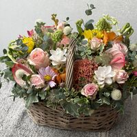 画像10336：商品紹介