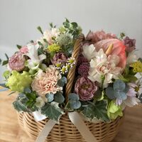 画像10338：商品紹介