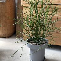 画像10348：商品紹介