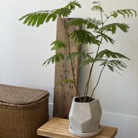 画像10354：商品紹介