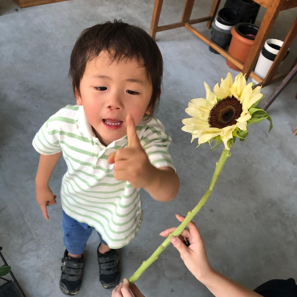 ブログ