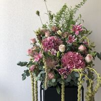 画像9528：商品紹介